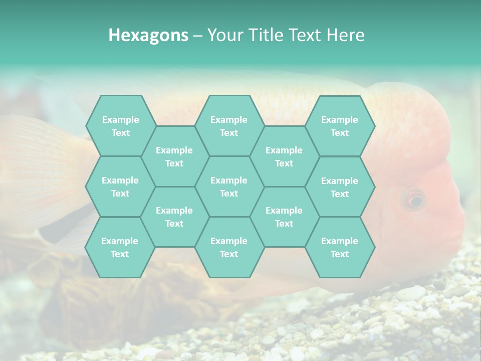 Life Image Organism PowerPoint Template
