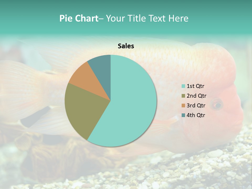 Life Image Organism PowerPoint Template
