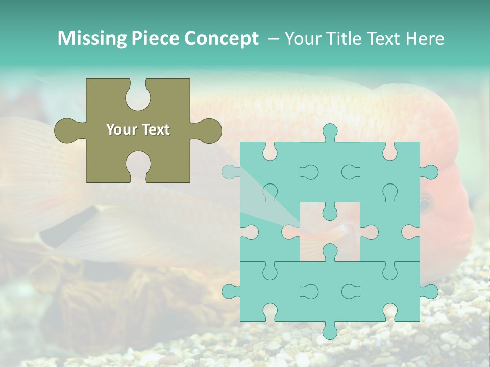 Life Image Organism PowerPoint Template