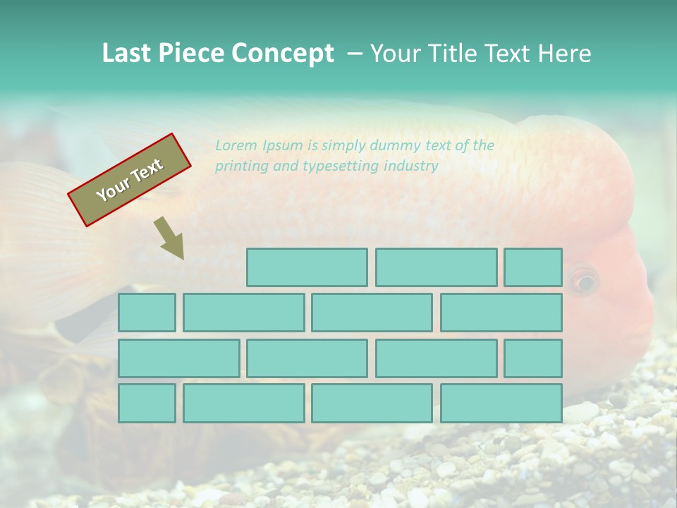 Life Image Organism PowerPoint Template