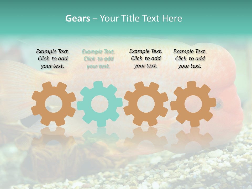 Life Image Organism PowerPoint Template