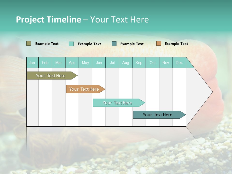 Life Image Organism PowerPoint Template