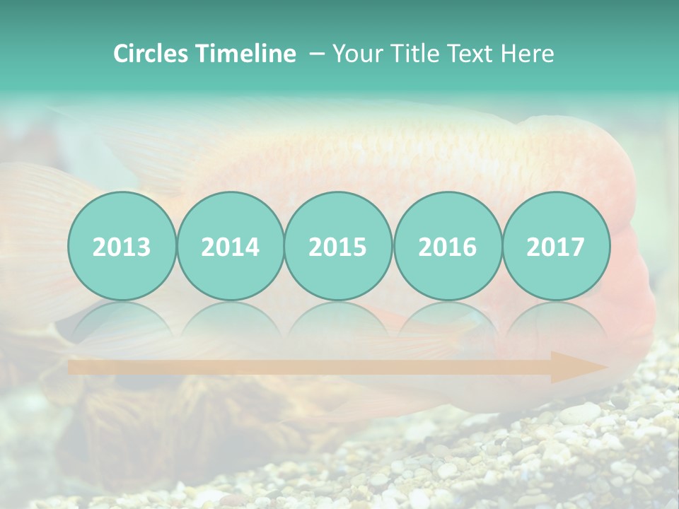 Life Image Organism PowerPoint Template