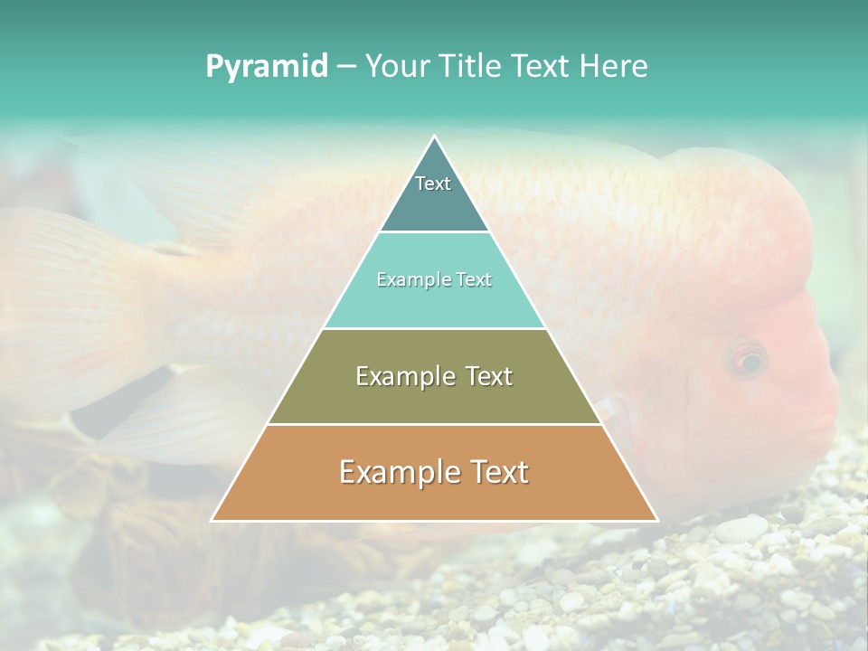 Life Image Organism PowerPoint Template