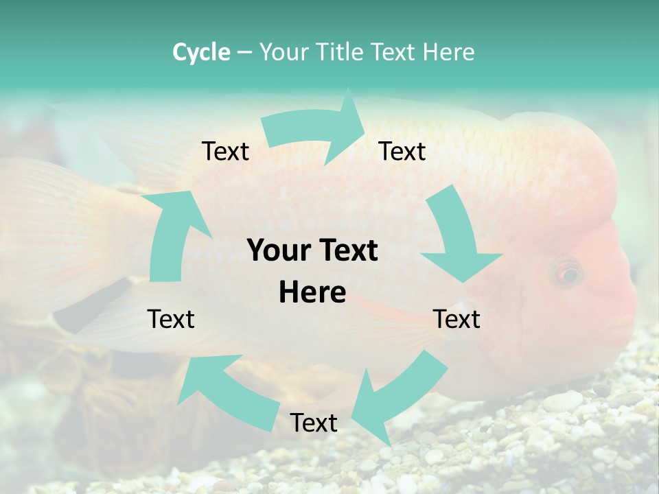 Life Image Organism PowerPoint Template