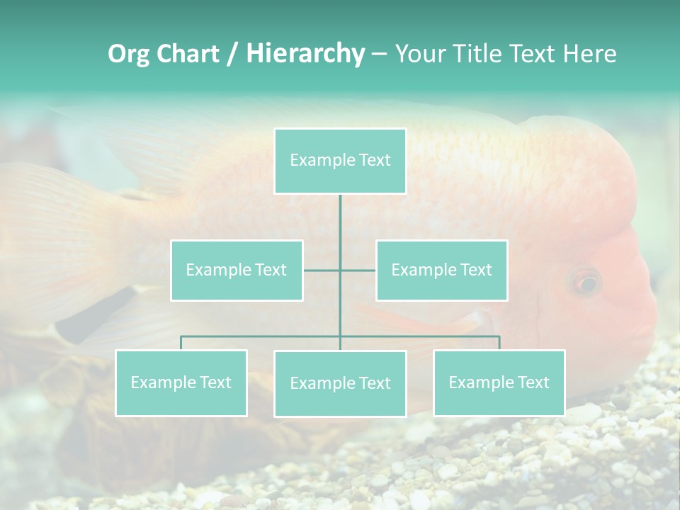 Life Image Organism PowerPoint Template