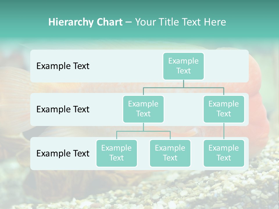 Life Image Organism PowerPoint Template
