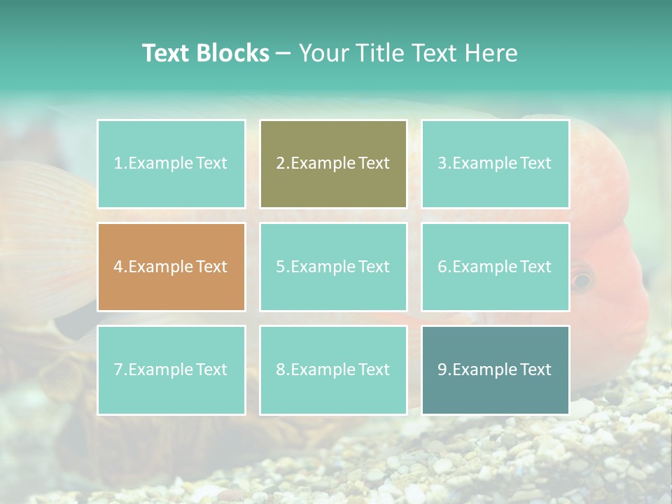 Life Image Organism PowerPoint Template