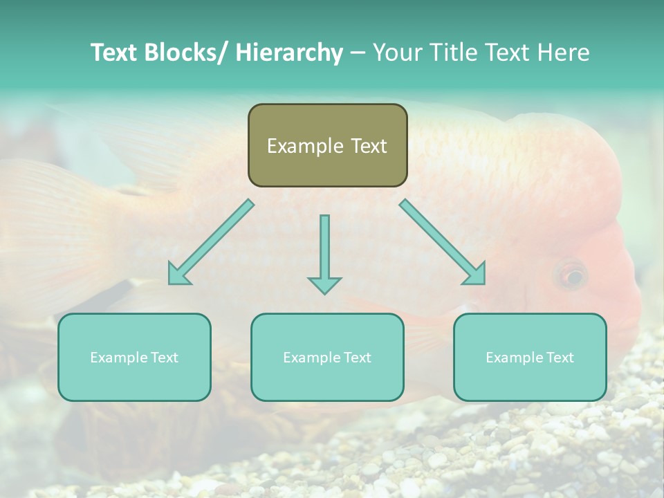 Life Image Organism PowerPoint Template