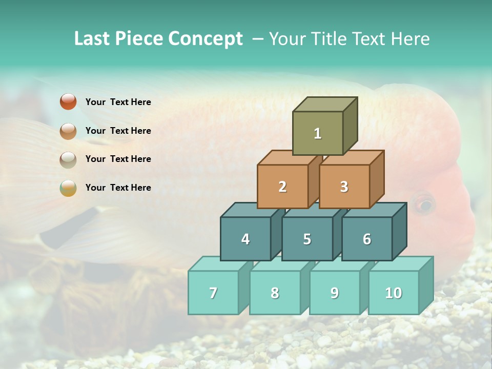 Life Image Organism PowerPoint Template