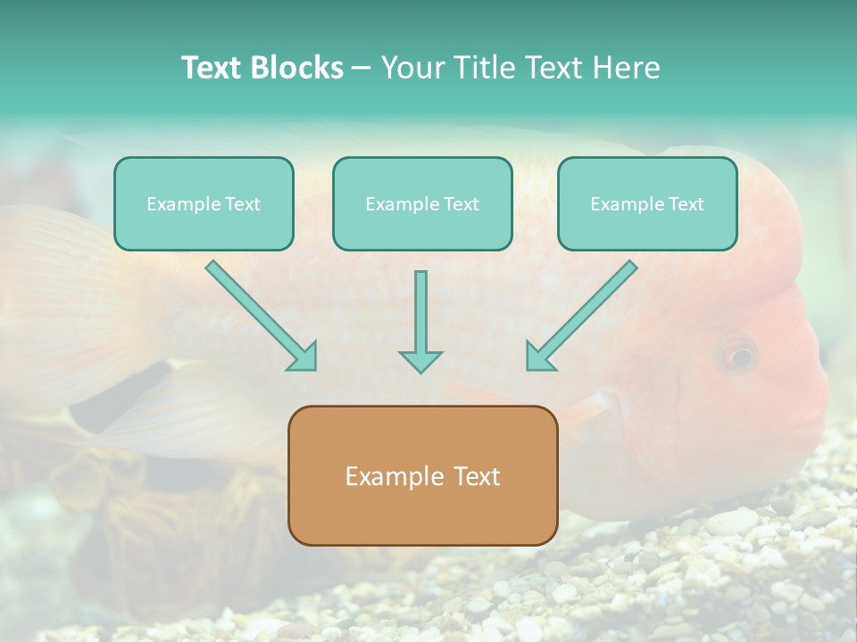 Life Image Organism PowerPoint Template