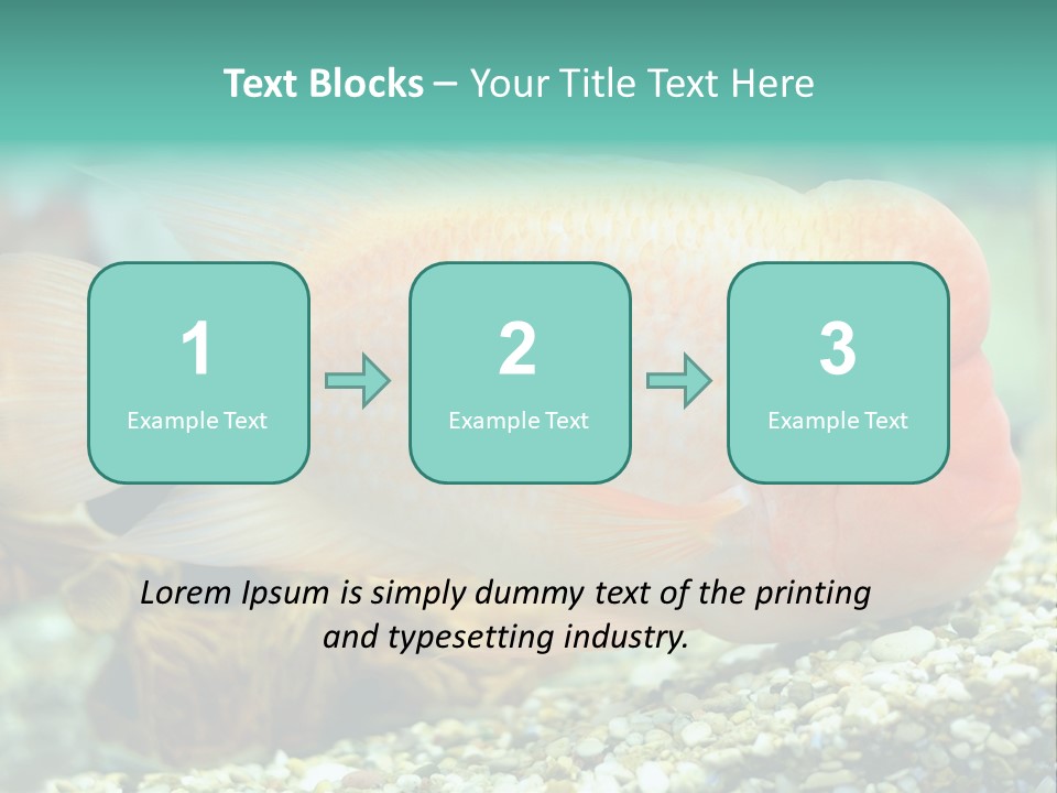 Life Image Organism PowerPoint Template