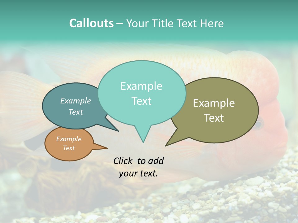 Life Image Organism PowerPoint Template