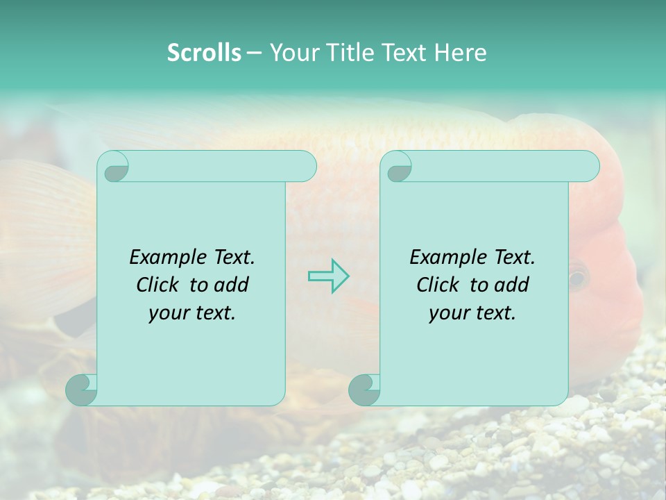 Life Image Organism PowerPoint Template