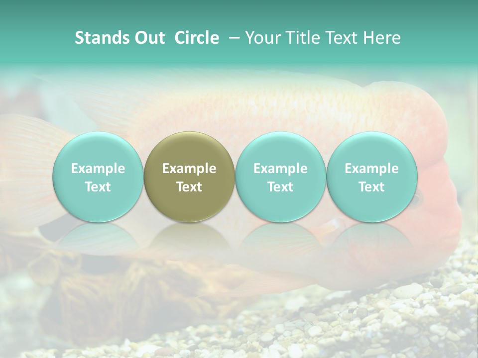 Life Image Organism PowerPoint Template