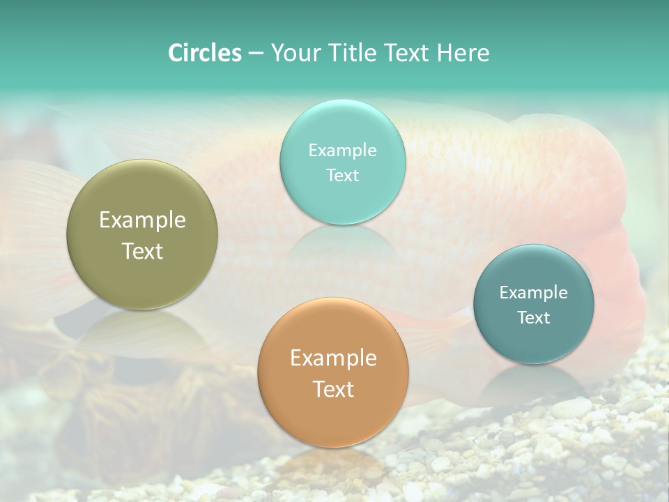 Life Image Organism PowerPoint Template