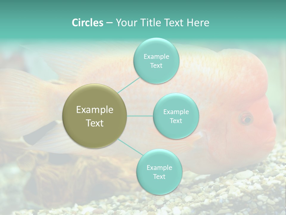 Life Image Organism PowerPoint Template