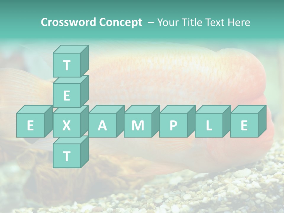 Life Image Organism PowerPoint Template