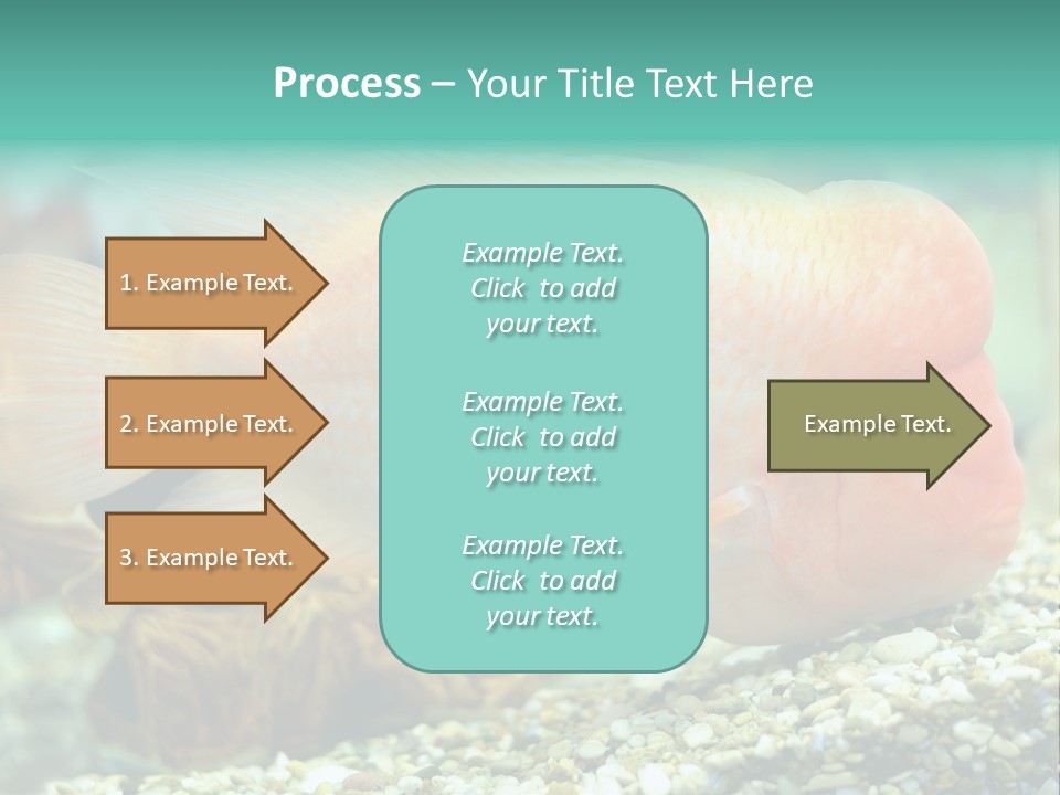 Life Image Organism PowerPoint Template