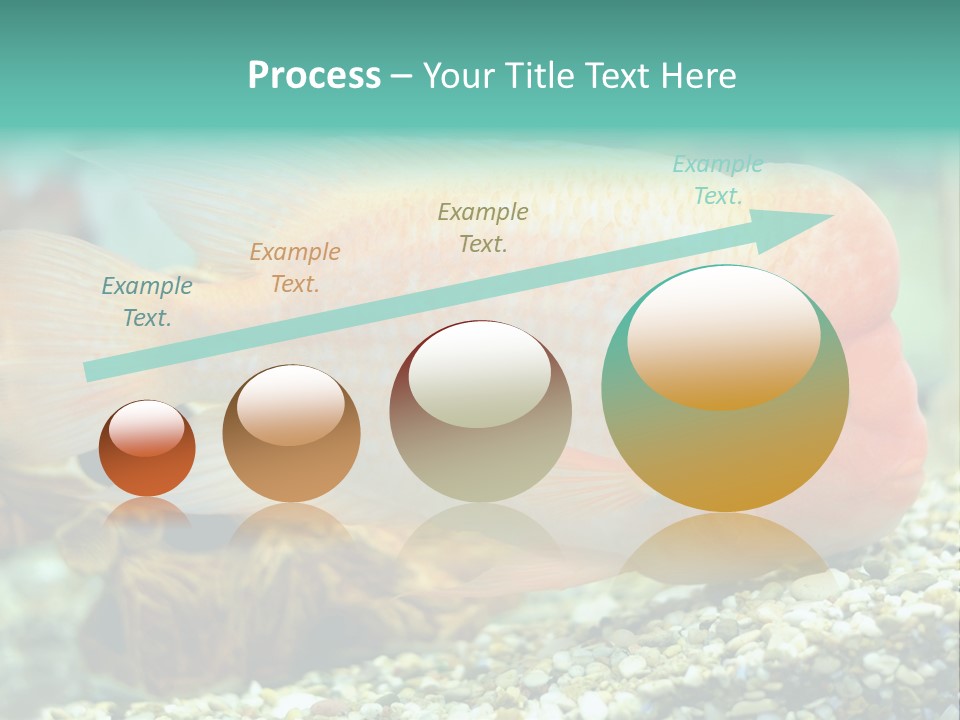 Life Image Organism PowerPoint Template