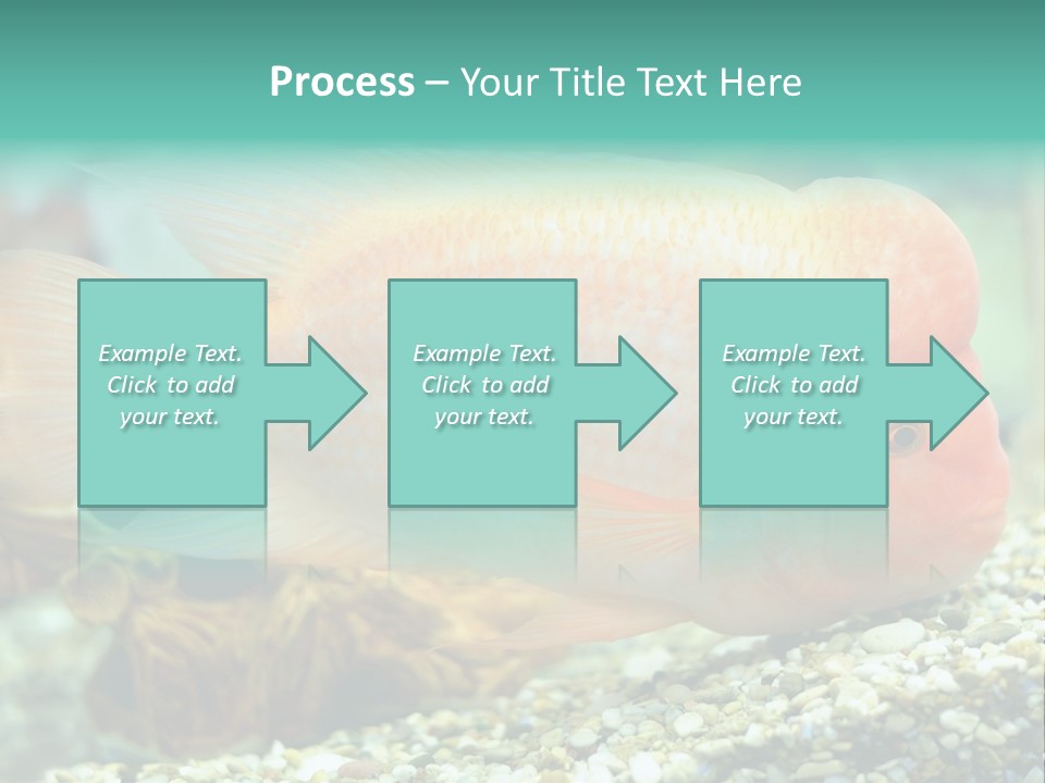 Life Image Organism PowerPoint Template