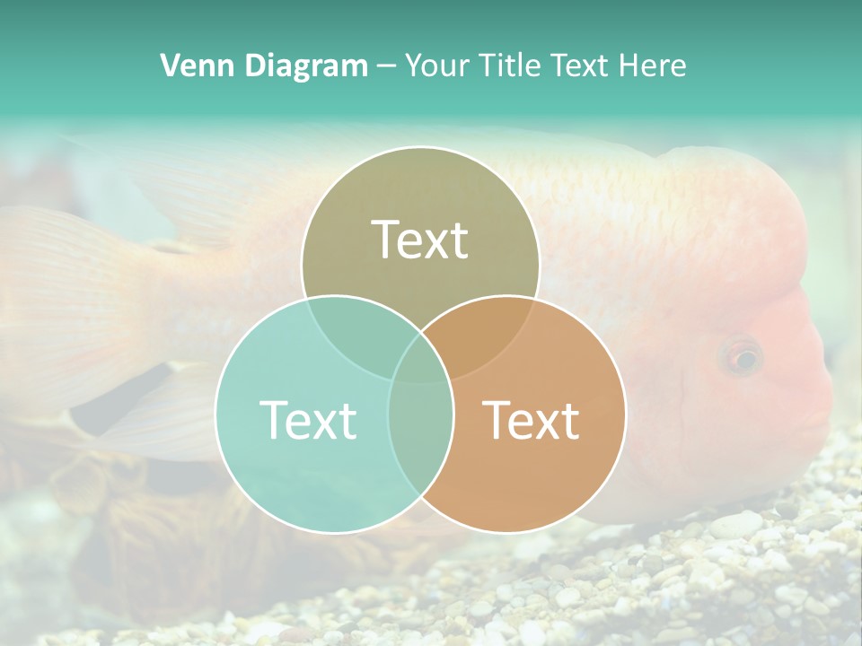Life Image Organism PowerPoint Template