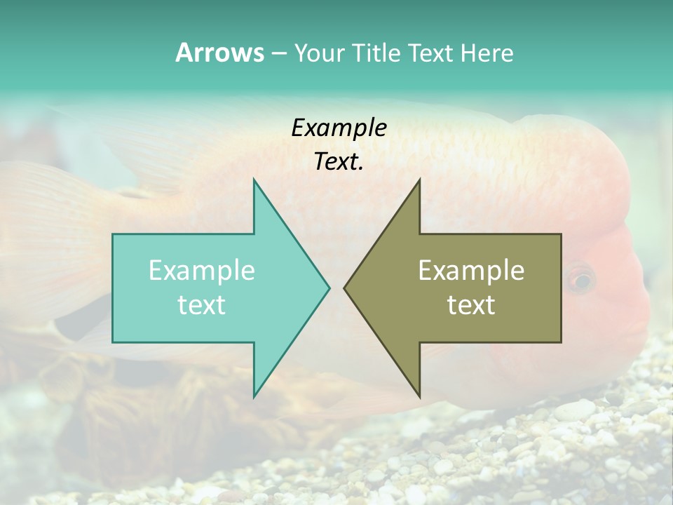 Life Image Organism PowerPoint Template