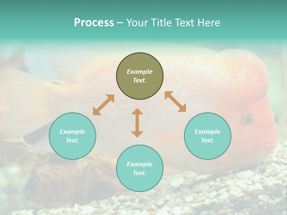 Life Image Organism PowerPoint Template