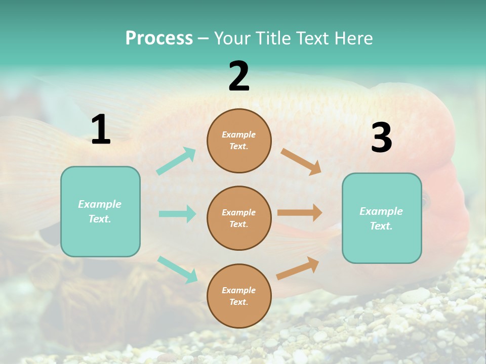 Life Image Organism PowerPoint Template