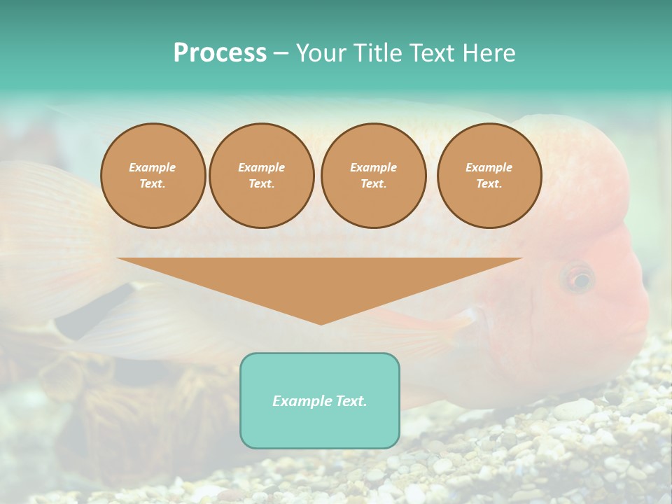 Life Image Organism PowerPoint Template