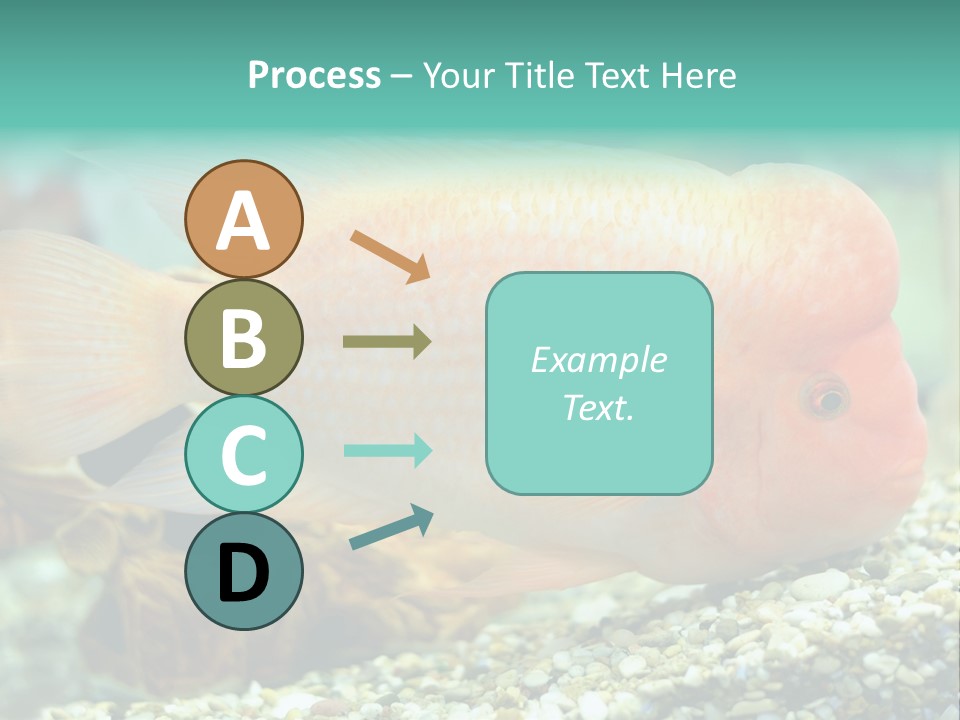 Life Image Organism PowerPoint Template