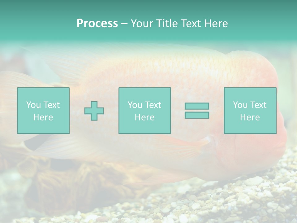 Life Image Organism PowerPoint Template