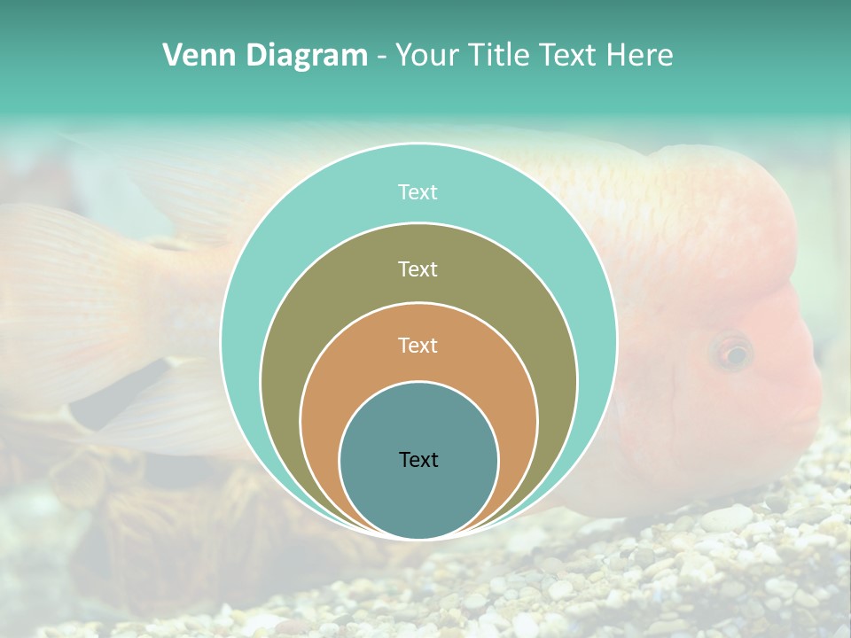Life Image Organism PowerPoint Template