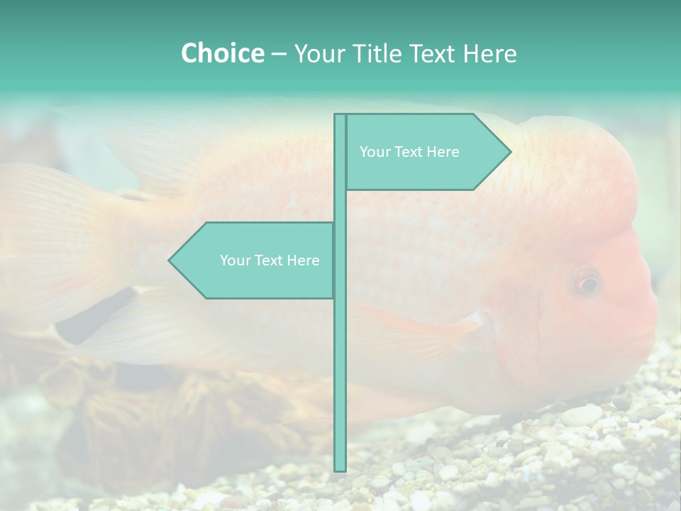 Life Image Organism PowerPoint Template