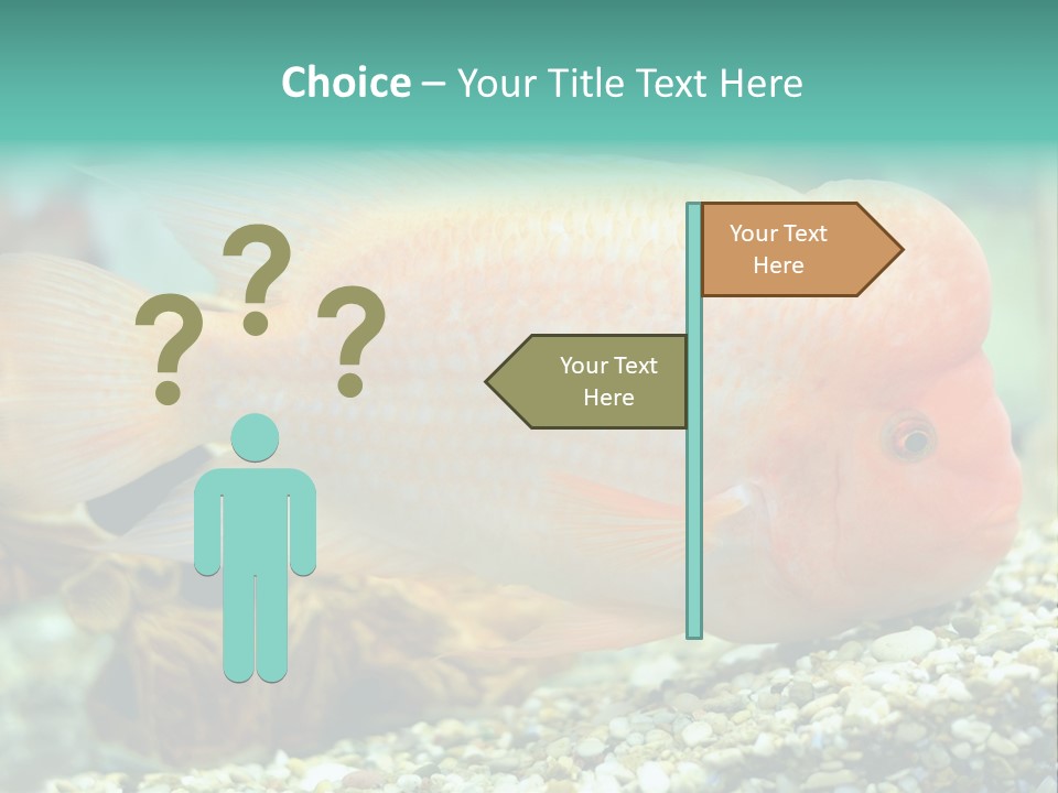 Life Image Organism PowerPoint Template