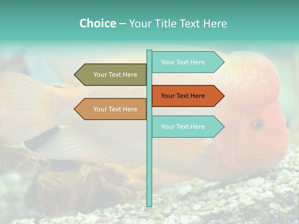 Life Image Organism PowerPoint Template