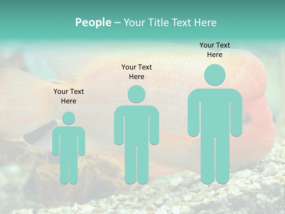 Life Image Organism PowerPoint Template