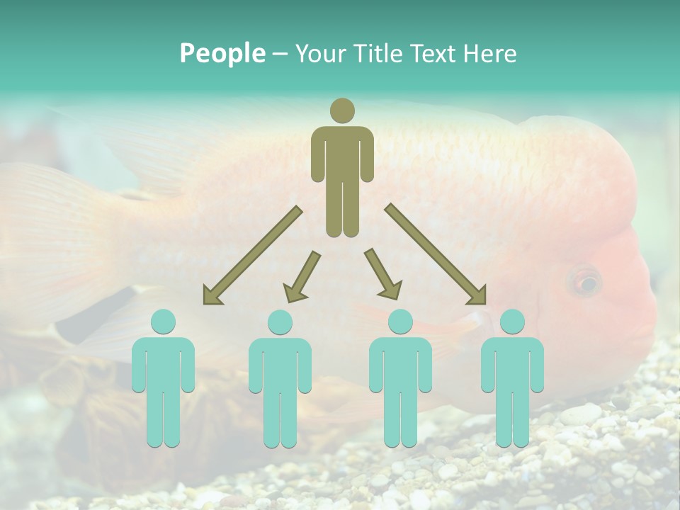 Life Image Organism PowerPoint Template