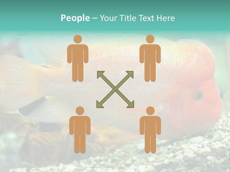 Life Image Organism PowerPoint Template