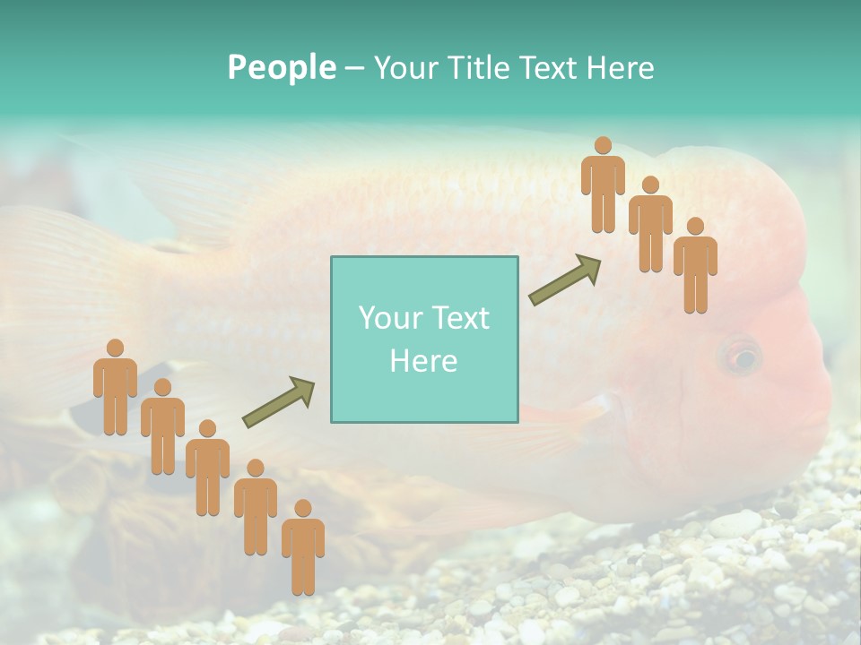 Life Image Organism PowerPoint Template