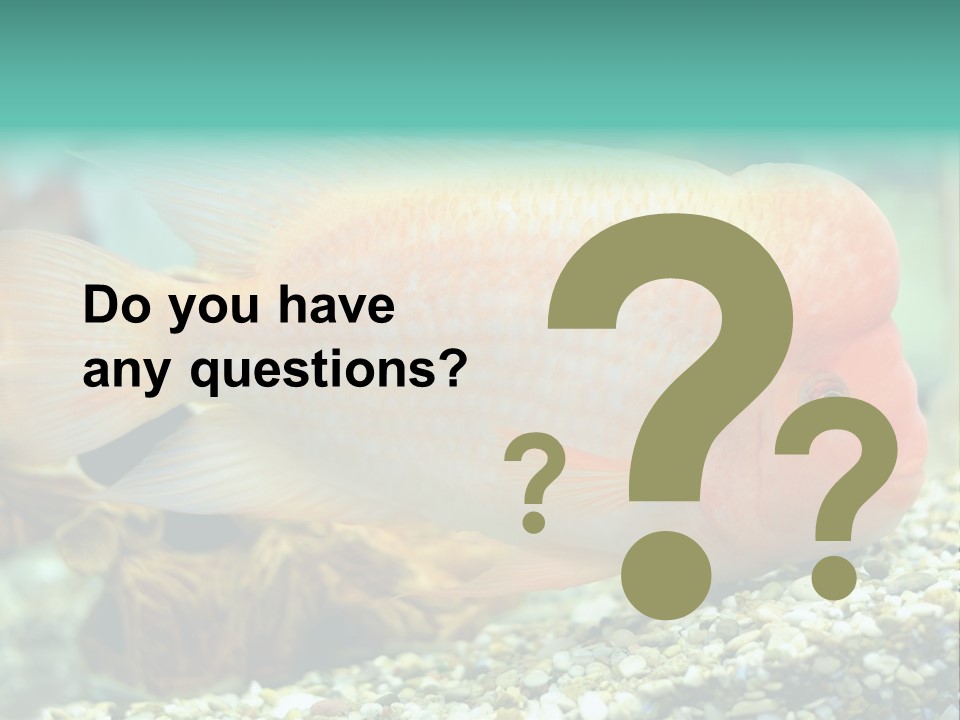 Life Image Organism PowerPoint Template