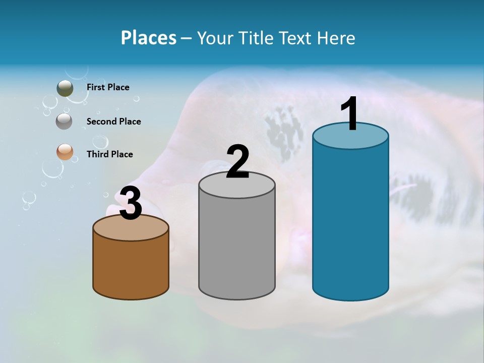 Life Image Organism PowerPoint Template