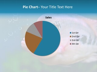 Life Image Organism PowerPoint Template