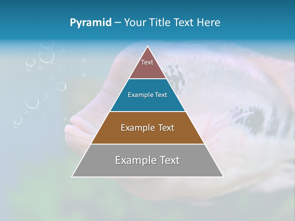 Life Image Organism PowerPoint Template