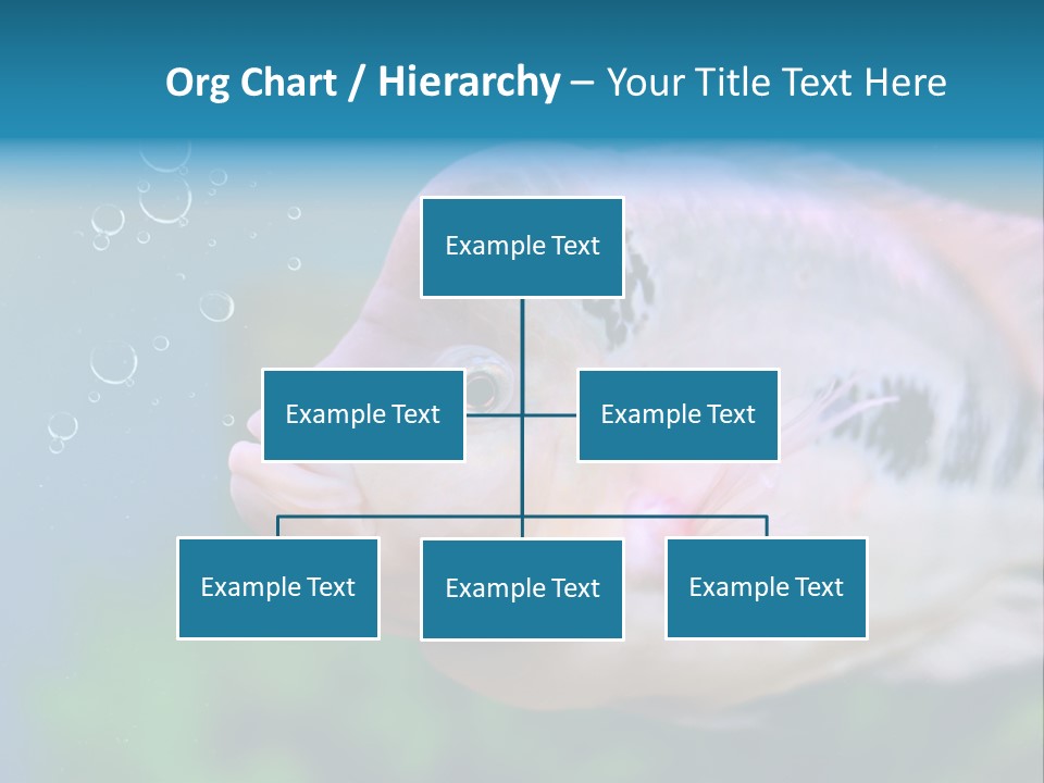 Life Image Organism PowerPoint Template