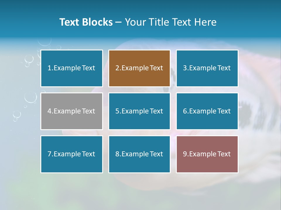 Life Image Organism PowerPoint Template
