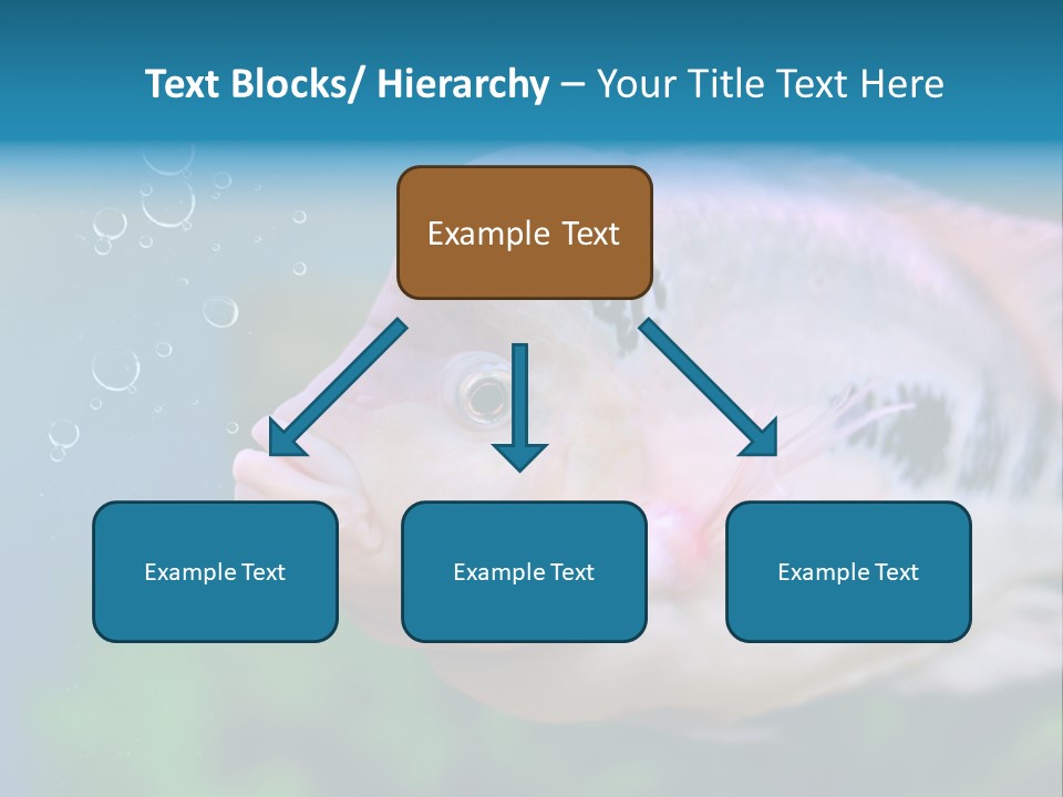 Life Image Organism PowerPoint Template