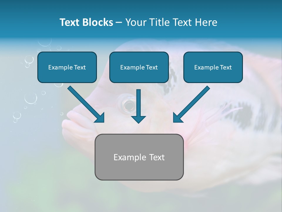 Life Image Organism PowerPoint Template
