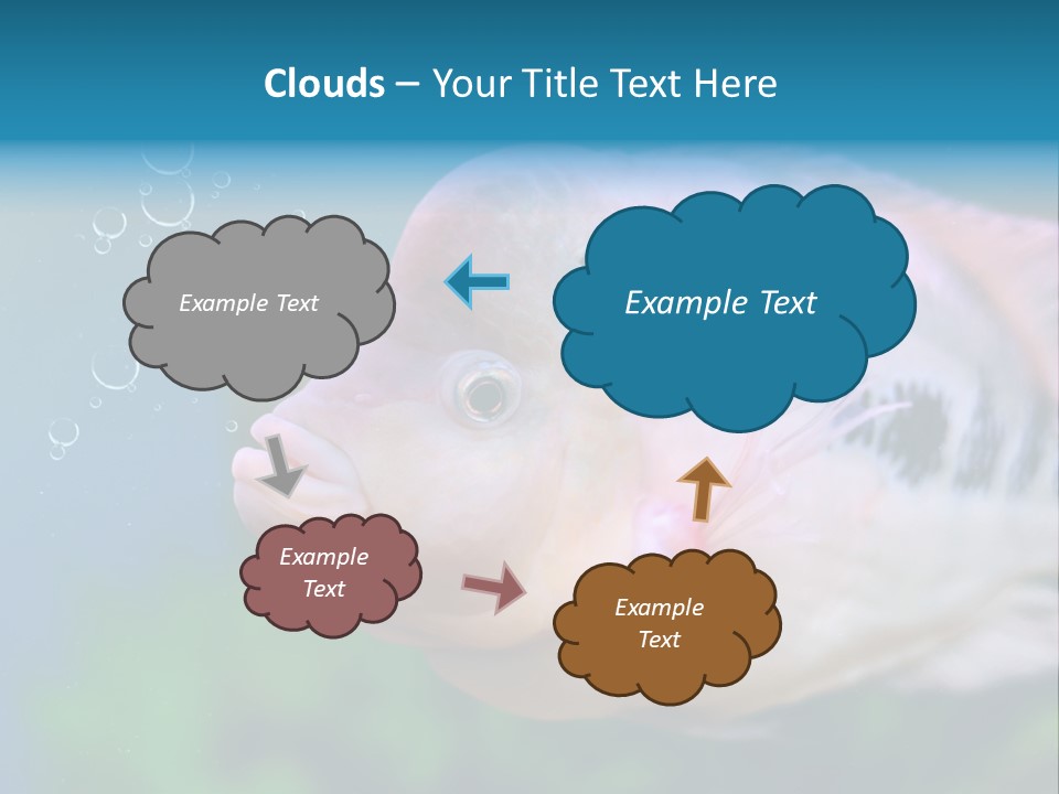 Life Image Organism PowerPoint Template