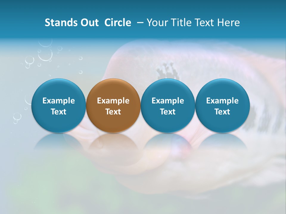 Life Image Organism PowerPoint Template